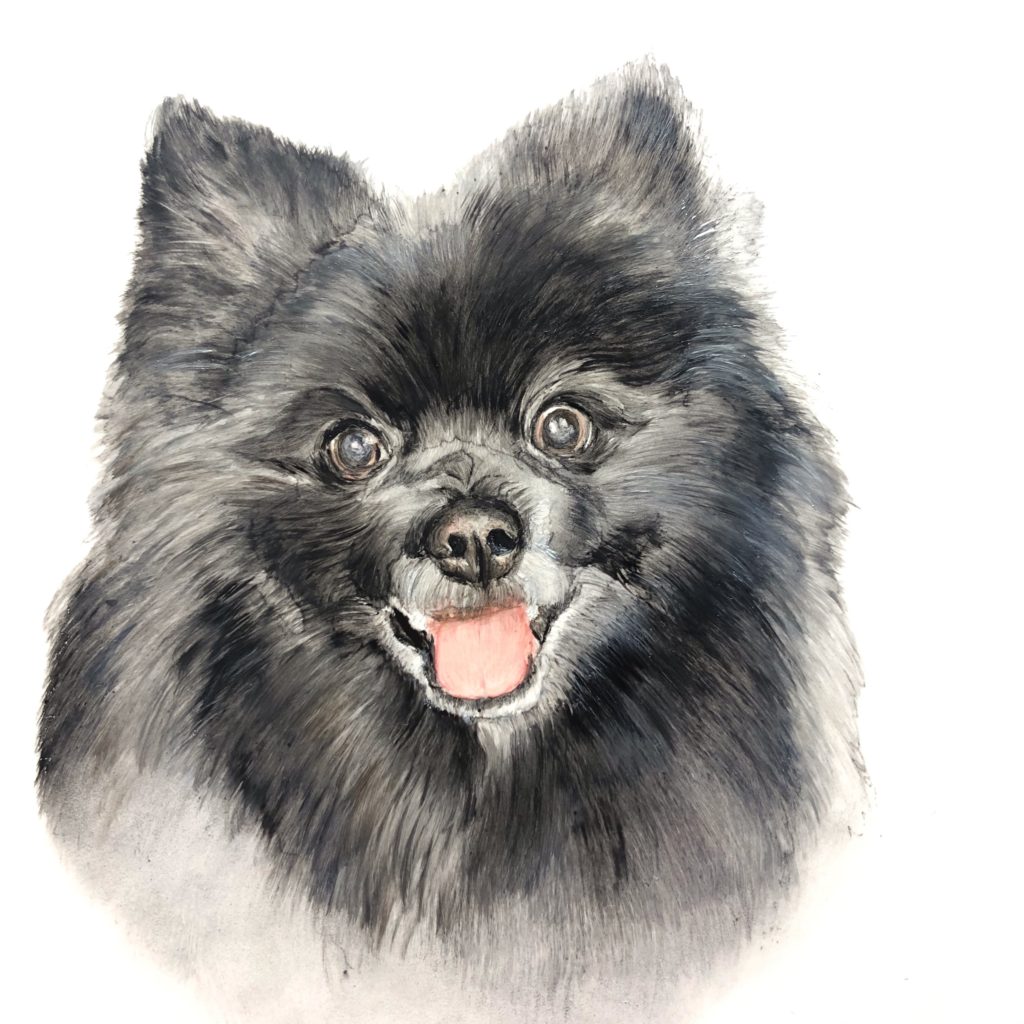 黒い犬の描き方 愛犬が黒い犬なのですが 黒い犬って描くのが難しいですか なが田カガリ ペットエタニティポーセ