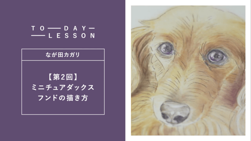 miroom 動画レッスン