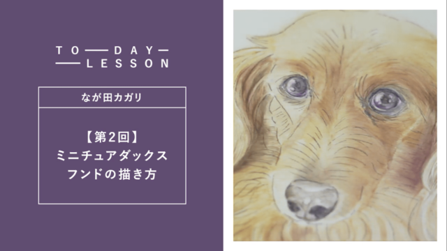 犬の絵の描き方 リアルな描き方を動画で学ぼう Miroom動画レッスン