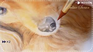 リアルな犬の描き方 ミニチュアダックス編 Miroom動画 なが田カガリ ペットエタニティポーセ