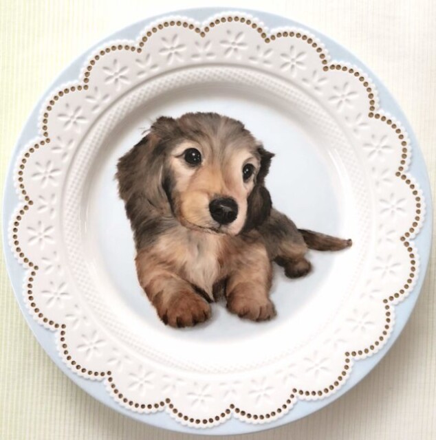 ジャッキーくん なが田カガリペット肖像画