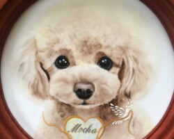 モカちゃん なが田カガリペット肖像画
