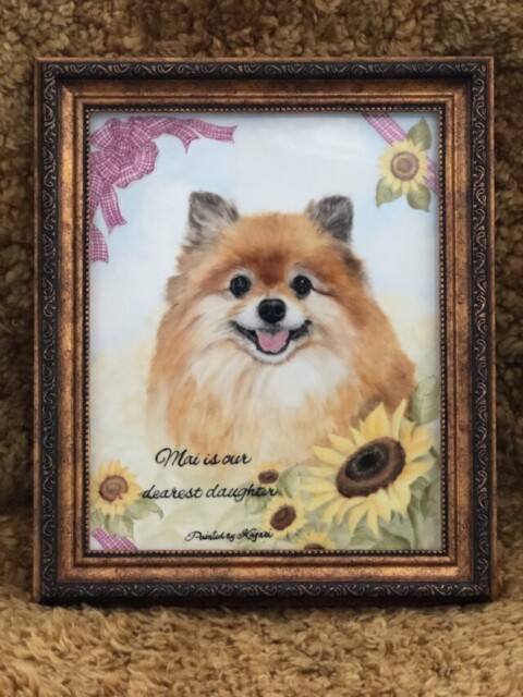 マイちゃん なが田カガリペット肖像画