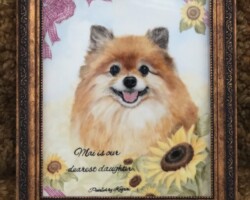 マイちゃん なが田カガリペット肖像画