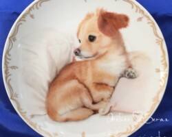 ローズちゃん なが田カガリペット肖像画