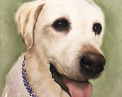 ルーさん なが田カガリペット肖像画