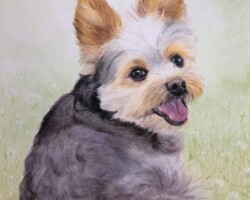 サリーちゃん なが田カガリペット肖像画