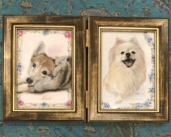 マロちゃんと茶々丸くん なが田カガリペット肖像画