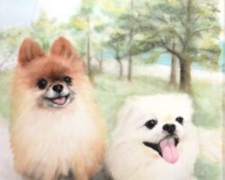なが田カガリペット肖像画